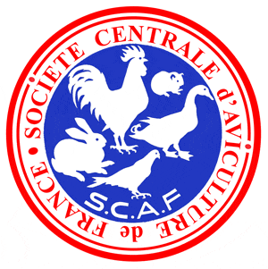 SCAF logo
